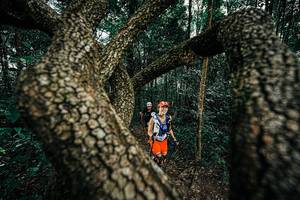 BIB: 
                            <button type="button" onclick="openModal(25393379)" class="btn btn-primary btn-sm float-right btn-popup" data-toggle="modal" data-target=".modal-high-quality">
                        <i class="fas fa-shopping-cart"></i> Add to Cart
                    </button>
                                            <button type="button" onclick="isThisMe(25393379, true)" class="btn btn-success btn-sm float-right btn-popup btn-isme hidden" data-toggle="tooltip" data-placement="bottom" title="นี่คือรูปของคุณใช่ไหม คลิกที่นี่เพื่อเอาเข้าอัลบั้ม">
                        <i class="fas fa-plus"></i> Add to album
                    </button>
                    <button type="button" onclick="isThisMe(25393379, false)" class="btn btn-warning btn-sm float-right btn-popup btn-isnotme hidden">
                        <i class="fas fa-ban"></i> Remove from album
                    </button>